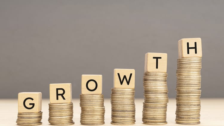 Revenue Growth vs Profit: Choosing Your Business Financial Strategy